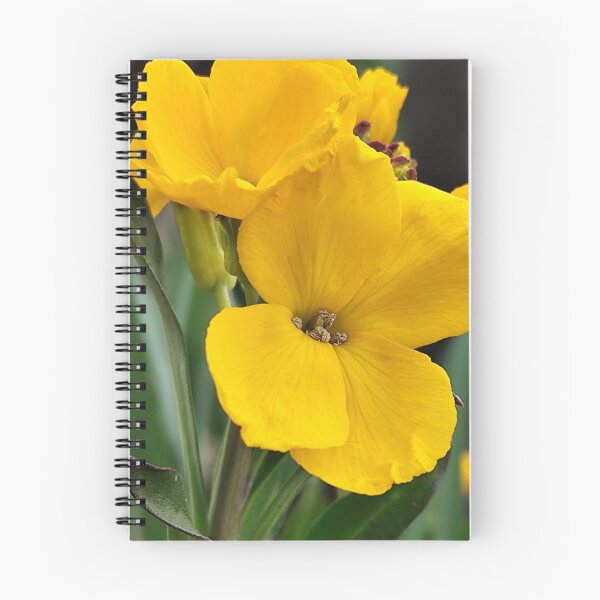 Item preview, Vivid Yellow Wallflower Bloom designed and sold by vtspatial.