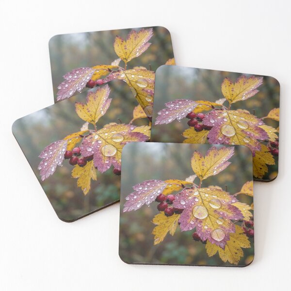 Item preview, Hawthorn Leaves and Berries in the Rain designed and sold by Tridentulus.