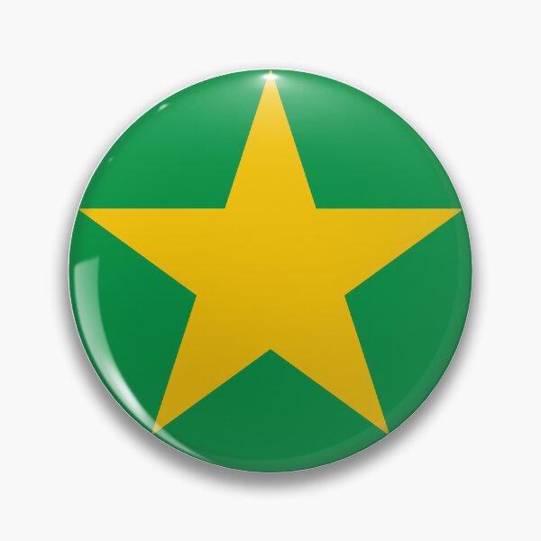 Artikelvorschau, Flagge des Bundesstaates Mato Grosso – Brazil Heartland & Chapada dos Guimaraes Pride entworfen und verkauft von NTGUILTY.