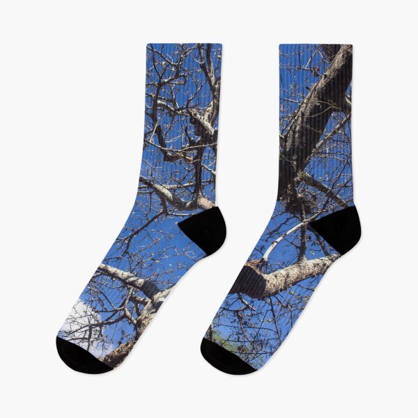 Item preview, tree and blue sky designed and sold by felipequeiroz.
