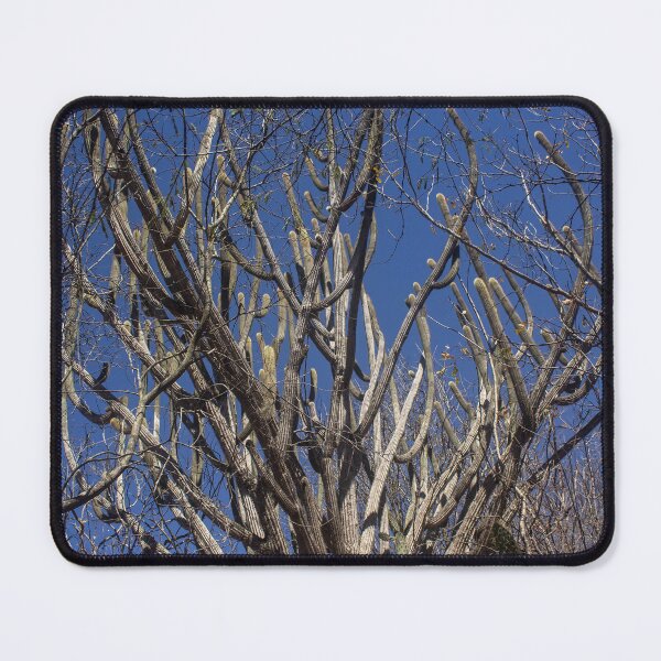 Item preview, tree and blue sky 2 designed and sold by felipequeiroz.