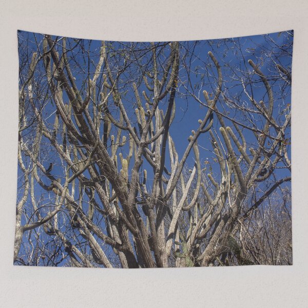Item preview, tree and blue sky 2 designed and sold by felipequeiroz.