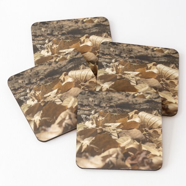 Item preview, dry leaves on the ground designed and sold by felipequeiroz.