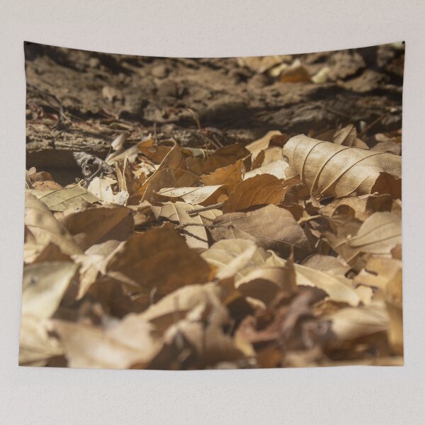 Item preview, dry leaves on the ground designed and sold by felipequeiroz.