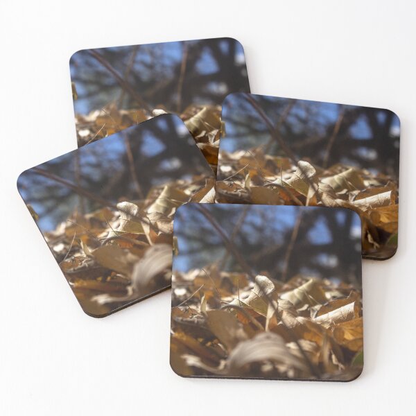 Item preview, dry leaves on the ground 2 designed and sold by felipequeiroz.