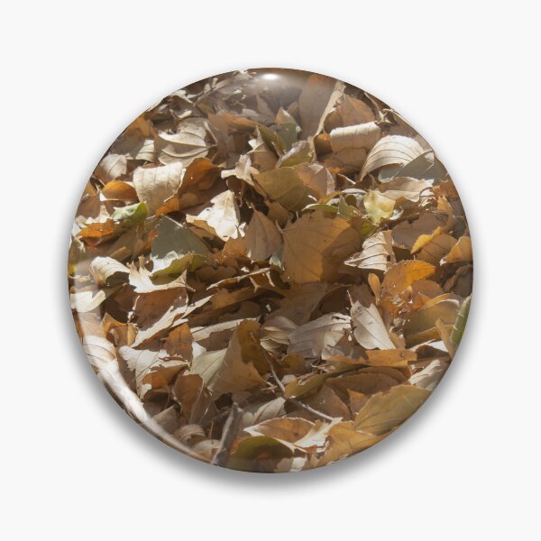 Item preview, dry leaves on the ground 3 designed and sold by felipequeiroz.