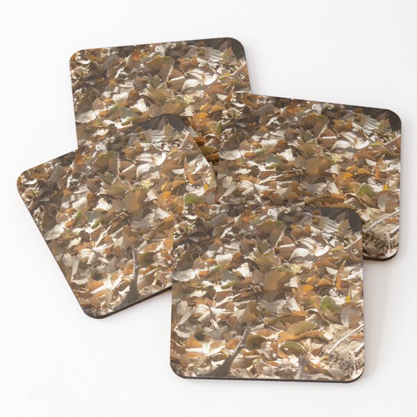 Item preview, dry leaves on the ground 3 designed and sold by felipequeiroz.