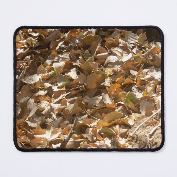 Item preview, dry leaves on the ground 3 designed and sold by felipequeiroz.