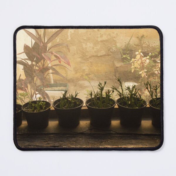 Item preview, small plant pots designed and sold by felipequeiroz.