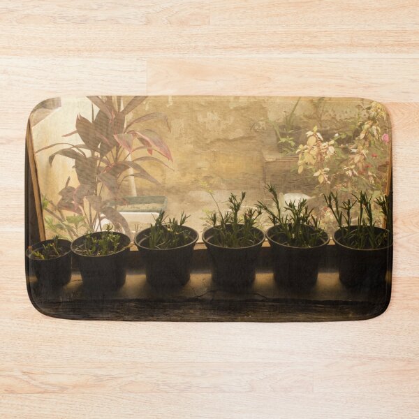 Item preview, small plant pots designed and sold by felipequeiroz.