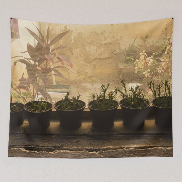 Item preview, small plant pots designed and sold by felipequeiroz.