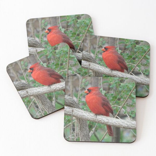 Item preview, Cardinal in the Spring designed and sold by AmyBsPics.