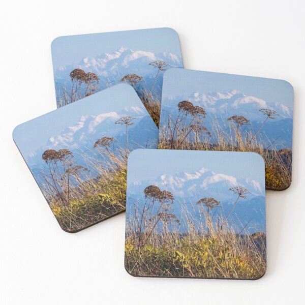 Item preview, Mountain View MidwayUsa aForeground Flora designed and sold by Serenataclouds.