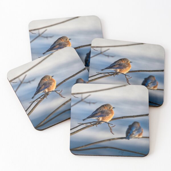Item preview, Three Eastern Bluebirds On A Cold Winter Day designed and sold by Lois  Bryan.