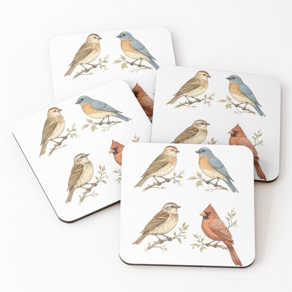 Item preview, Field Guide Birds designed and sold by SundayVale.