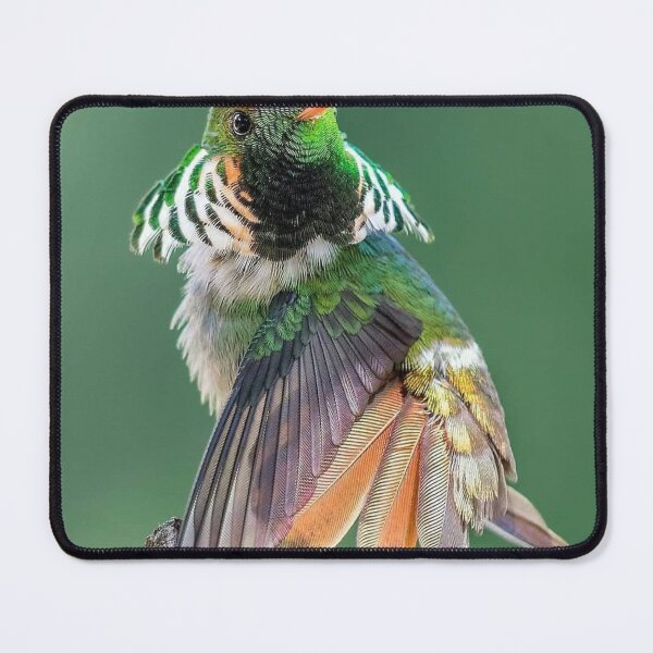 Item preview, Vibrant Hummingbird Blizzard Sport dBranch designed and sold by Patrycjabeauty.