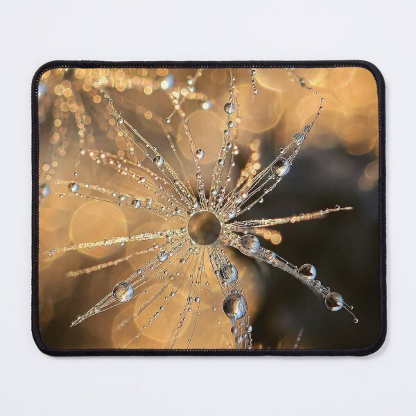 Item preview, Dew-Drenched Blizzard Sport cDandelion Seeds designed and sold by Patrycjabeauty.