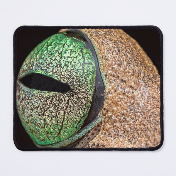 Item preview, Close-up Blizzard Sport aFrog's Eye designed and sold by Patrycjabeauty.