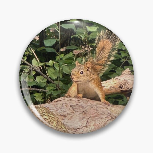 Item preview, Attack Squirrel Go! designed and sold by Mychaila's Creations.