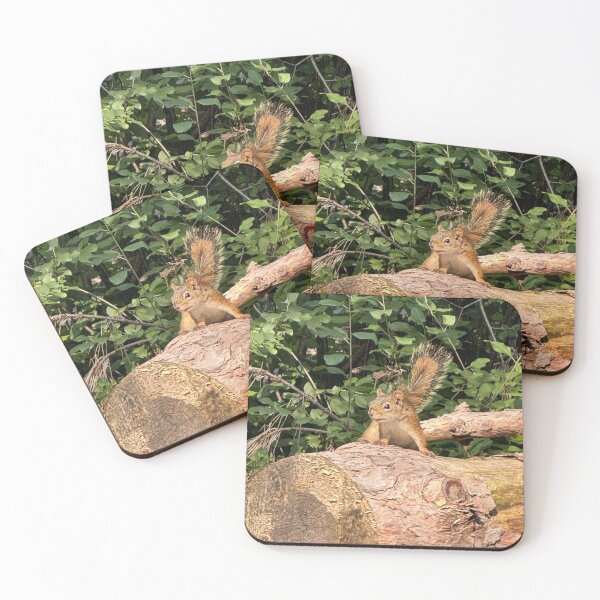 Item preview, Attack Squirrel Go! designed and sold by Mychaila's Creations.