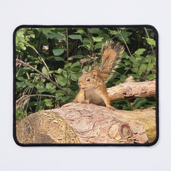 Item preview, Attack Squirrel Go! designed and sold by Mychaila's Creations.