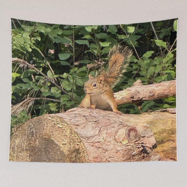 Item preview, Attack Squirrel Go! designed and sold by Mychaila's Creations.
