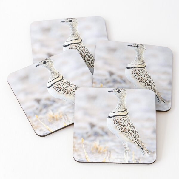 Item preview, Elegant Sandgrouse University Of Milan cNatural Habitat designed and sold by Patrycjabeauty.