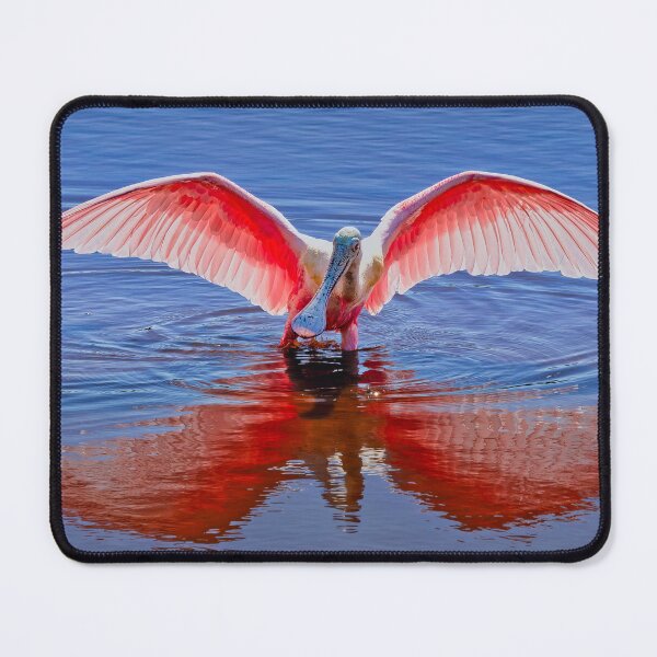 Item preview, Roseate Spoonbill 2 designed and sold by Alex Preiss.