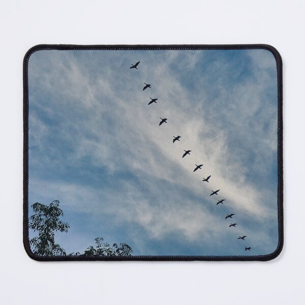 Item preview, Birds in the Sky designed and sold by neeraj-19.