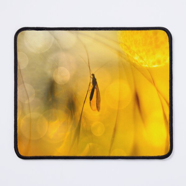 Item preview, The Silhouette in the Amber Glow designed and sold by SoulArchitect.