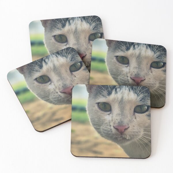 Item preview, White Cat Looking Directly at You designed and sold by neeraj-19.
