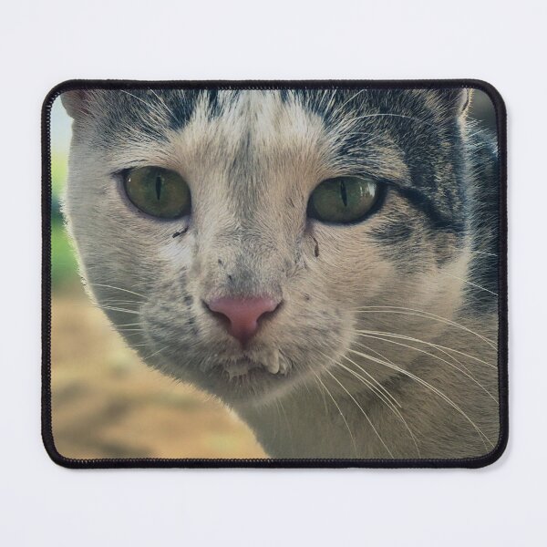 Item preview, White Cat Looking Directly at You designed and sold by neeraj-19.