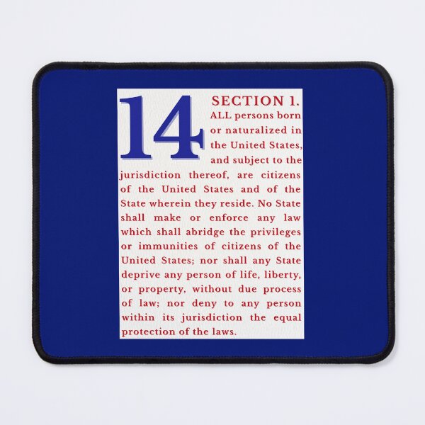 Item preview, 14th Amendment Birthright Citizenship Equal Protection | Typography Print designed and sold by SHELOPS.