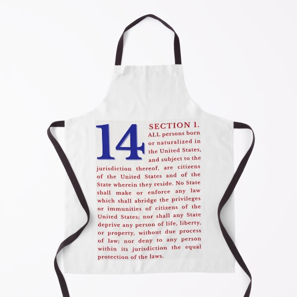 Item preview, 14th Amendment Birthright Citizenship Equal Protection | Typography Print designed and sold by SHELOPS.
