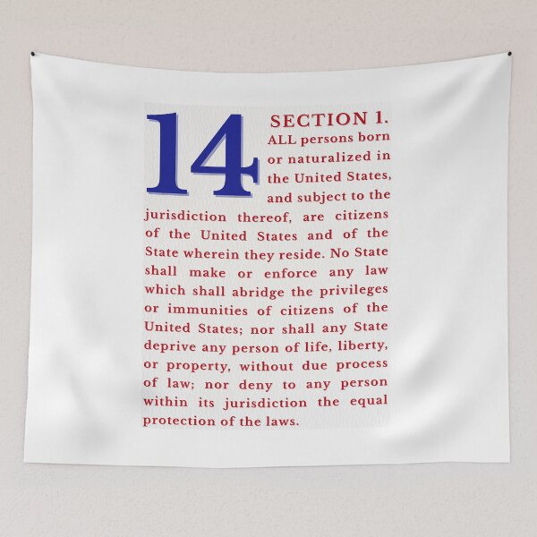 Item preview, 14th Amendment Birthright Citizenship Equal Protection | Typography Print designed and sold by SHELOPS.