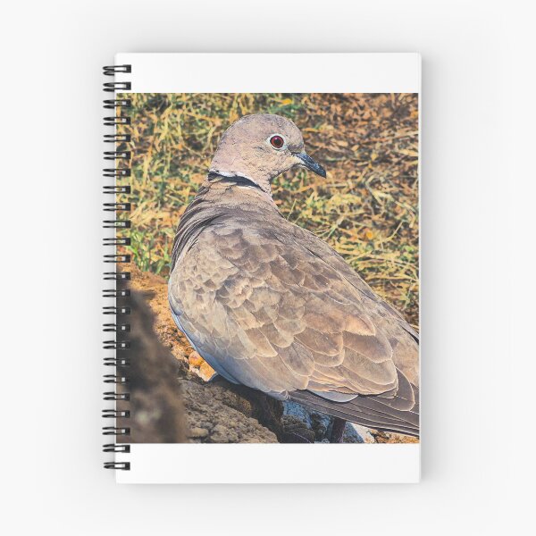 Aperçu de l'œuvre Oiseau regardant sur le côté créée et vendue par neeraj-19.