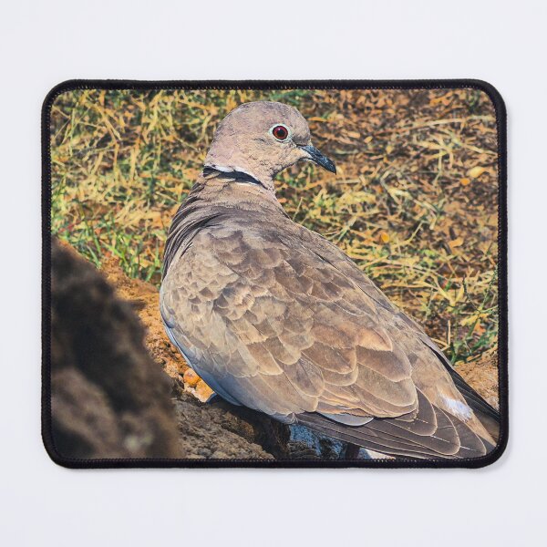 Item preview, Bird looking at the side designed and sold by neeraj-19.