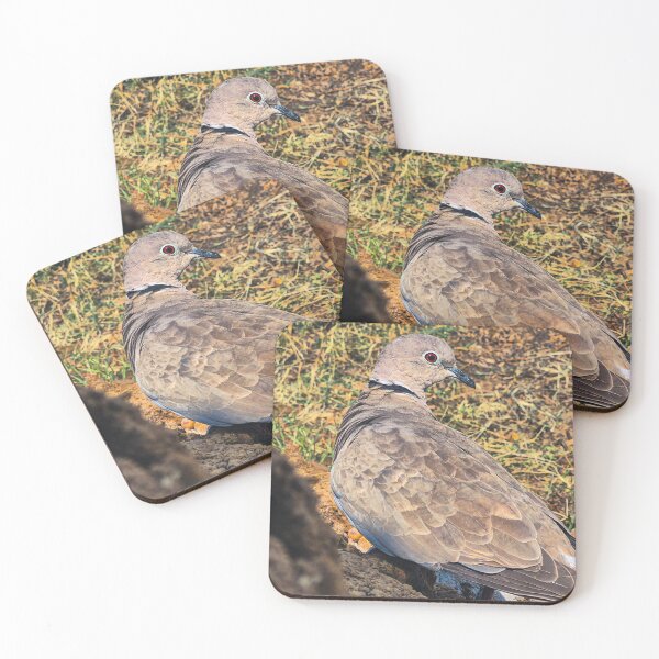 Item preview, Bird looking at the side designed and sold by neeraj-19.