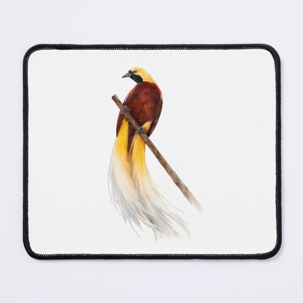Item preview, Raggiana Bird-of-Paradise (Paradisaea raggiana) designed and sold by HOMETOWN86.