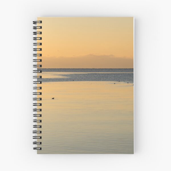 Item preview, Golden Coastal Morning with a Few Diving Ducks designed and sold by Georgia Mizuleva.
