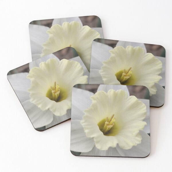 Item preview, Calming White Blooming Daffodil designed and sold by vtspatial.