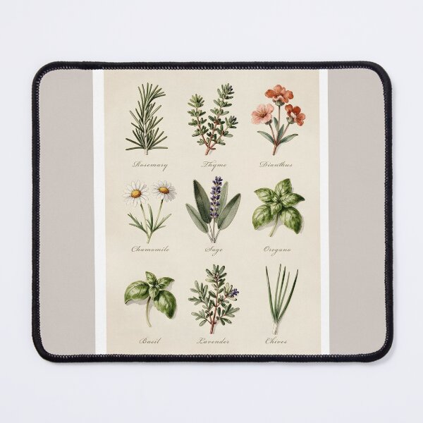 Item preview, Vintage Kitchen Herb Guide Poster | Botanical Herb Wall Art | Cottagecore Kitchen Print | Illustrated Herb Chart | Culinary Herb Decor designed and sold by Kelvin Hughes Design.
