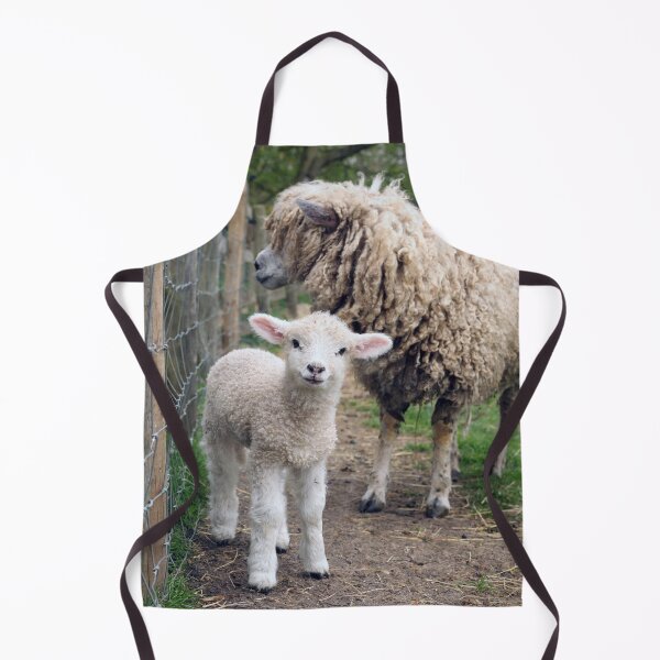 Item preview, Cotswold Lamb designed and sold by Murph's Images.