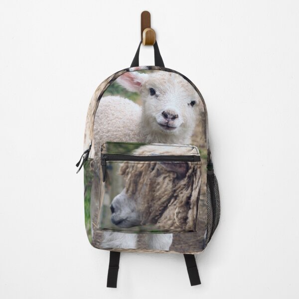 Item preview, Cotswold Lamb designed and sold by Murph's Images.