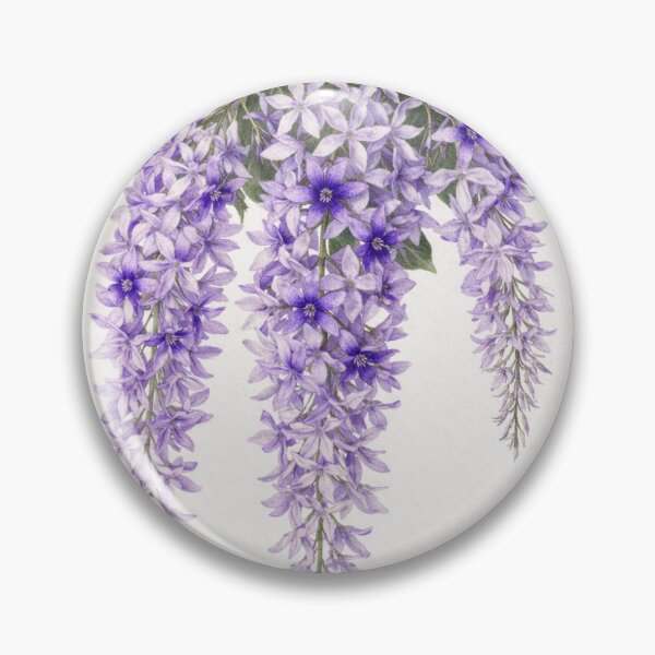 Item preview, Petrea volubilis L. VI designed and sold by latin-art.