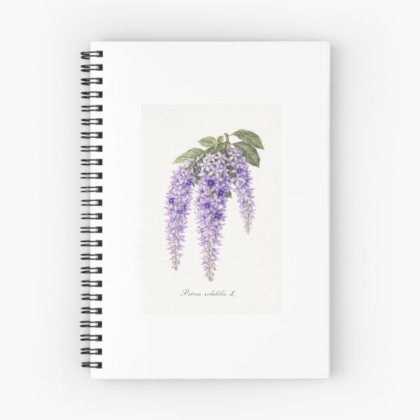 Item preview, Petrea volubilis L. VI designed and sold by latin-art.