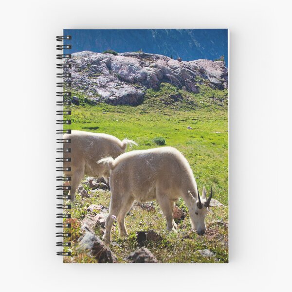Item preview, Two Goats designed and sold by Valentina Gatewood.