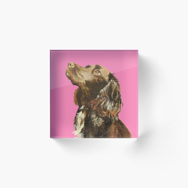 Item preview, Sprocker Spaniel on pink designed and sold by sitesorted.