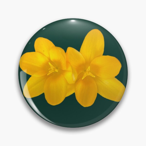 Item preview, Twin Yellow Crocuses  designed and sold by Amanda1775.