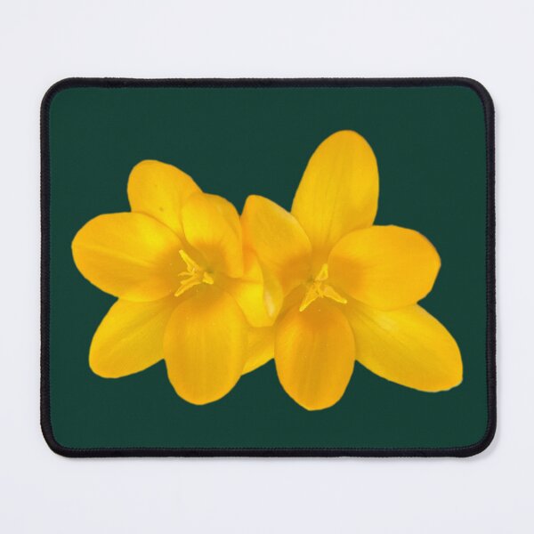 Item preview, Twin Yellow Crocuses  designed and sold by Amanda1775.